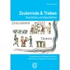 Zeulenroda-Triebes - Geschichte & Geschichten